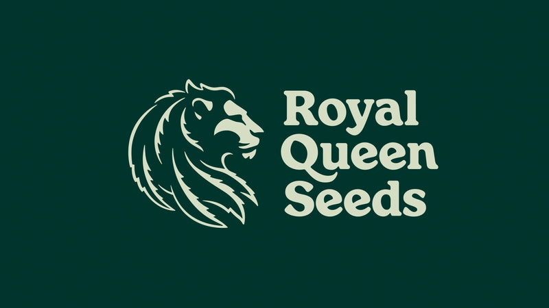 Royal Queen Seeds