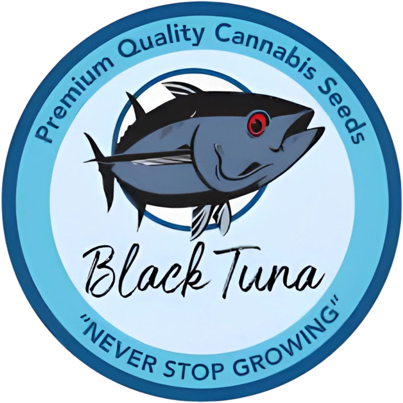 Black Tuna Seeds
