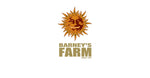 Barneys Farm - 5 Pack - Fem