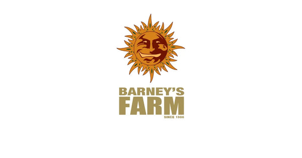 Barneys Farm - 5 Pack - Fem