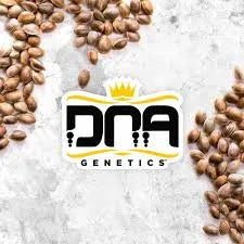 DNA Genetics